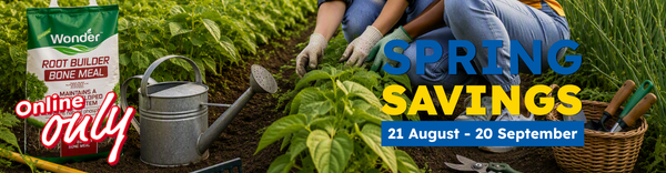 Spring Promotion